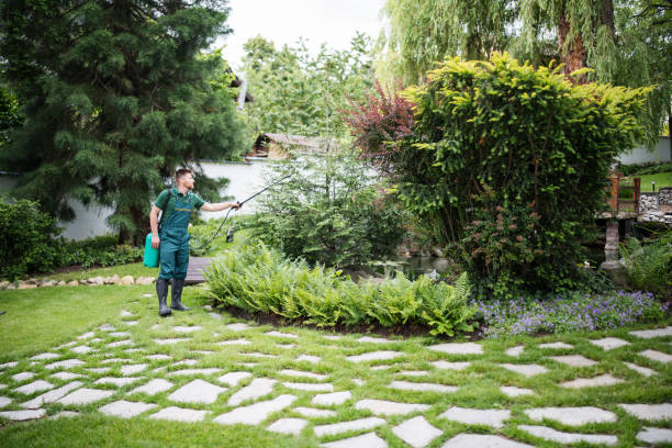Best Commercial Pest Control Services  in Mamou, LA