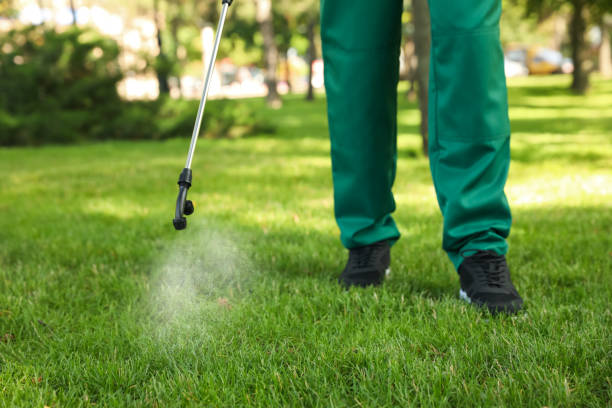 Best Best Pest Control Companies  in Mamou, LA