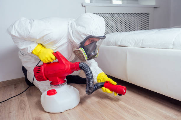 Best Exterminator Services  in Mamou, LA