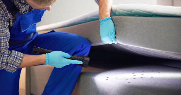 Best Flea Control Services  in Mamou, LA